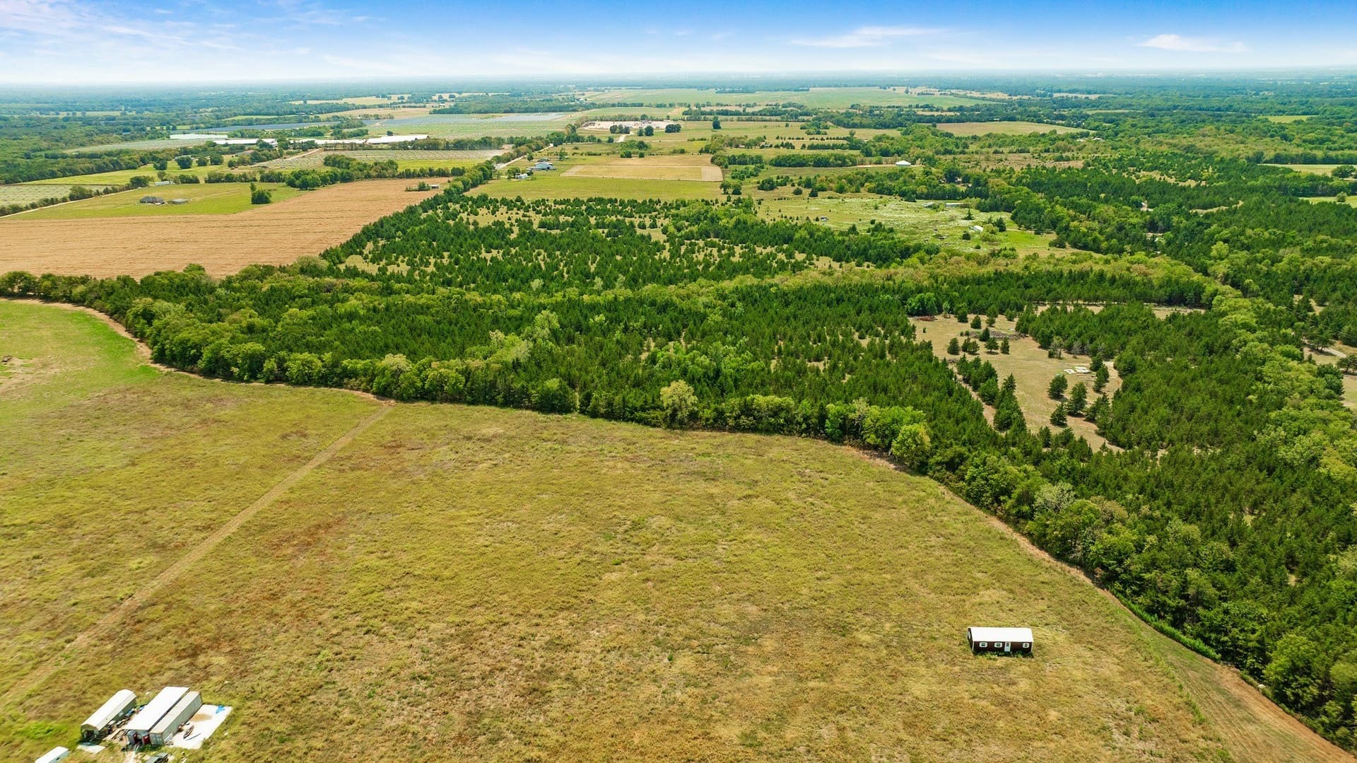 10 acres in Lamar County - photo 4
