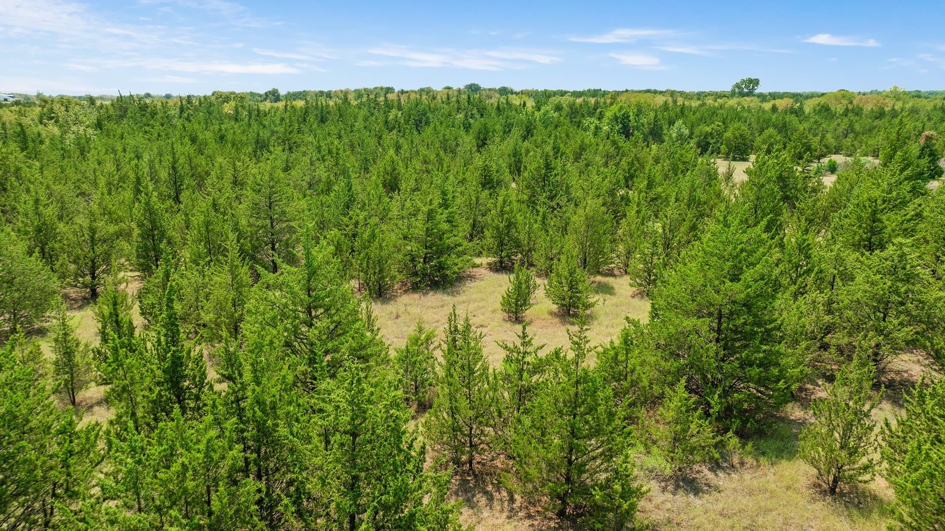 10 acres in Lamar County - photo 17