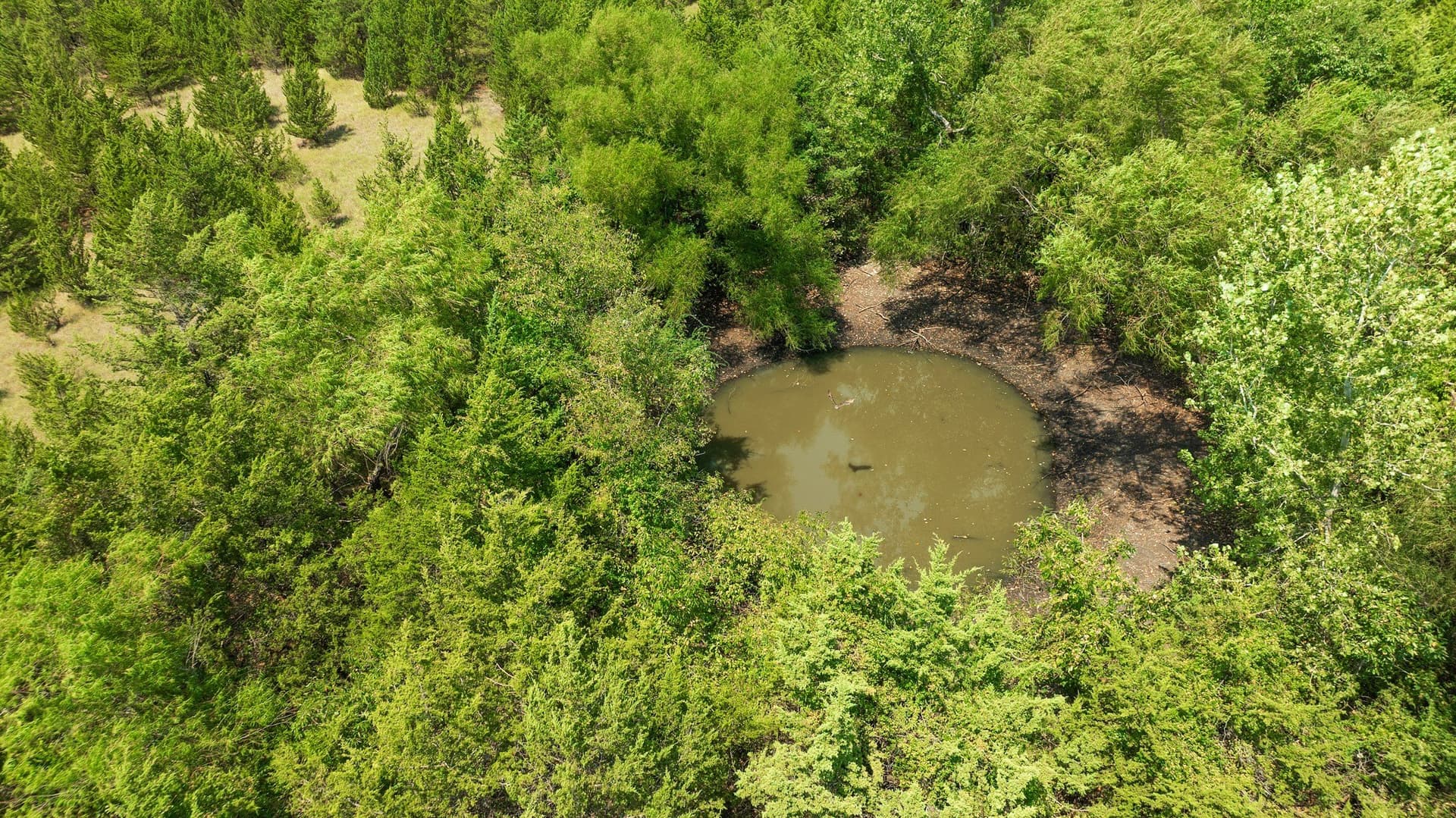 10 acres in Lamar County - photo 15