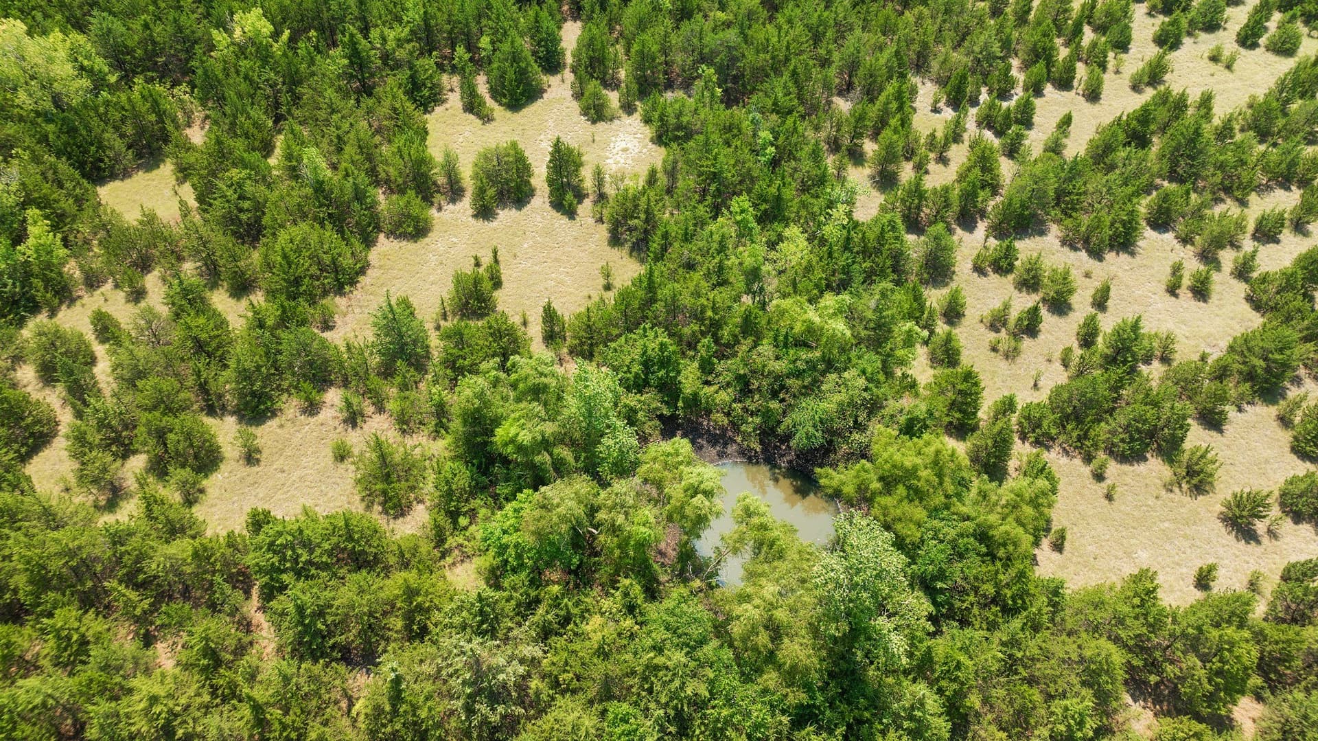 10 acres in Lamar County - photo 19