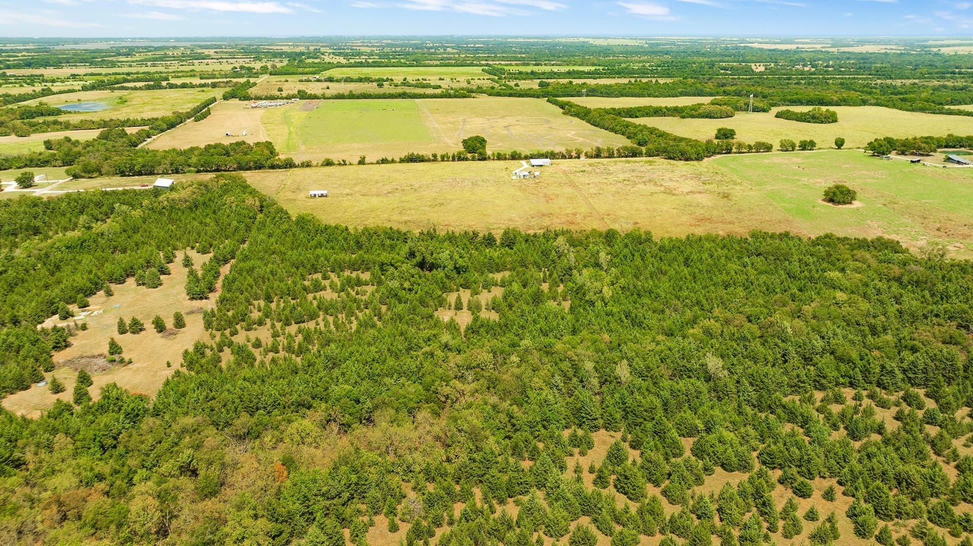 10 acres in Lamar County - photo 12