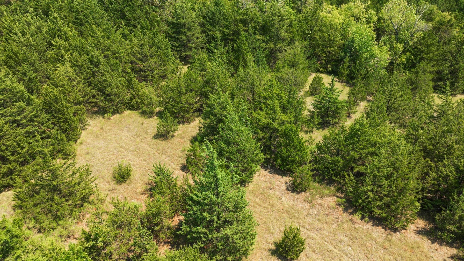 10 acres in Lamar County - photo 16