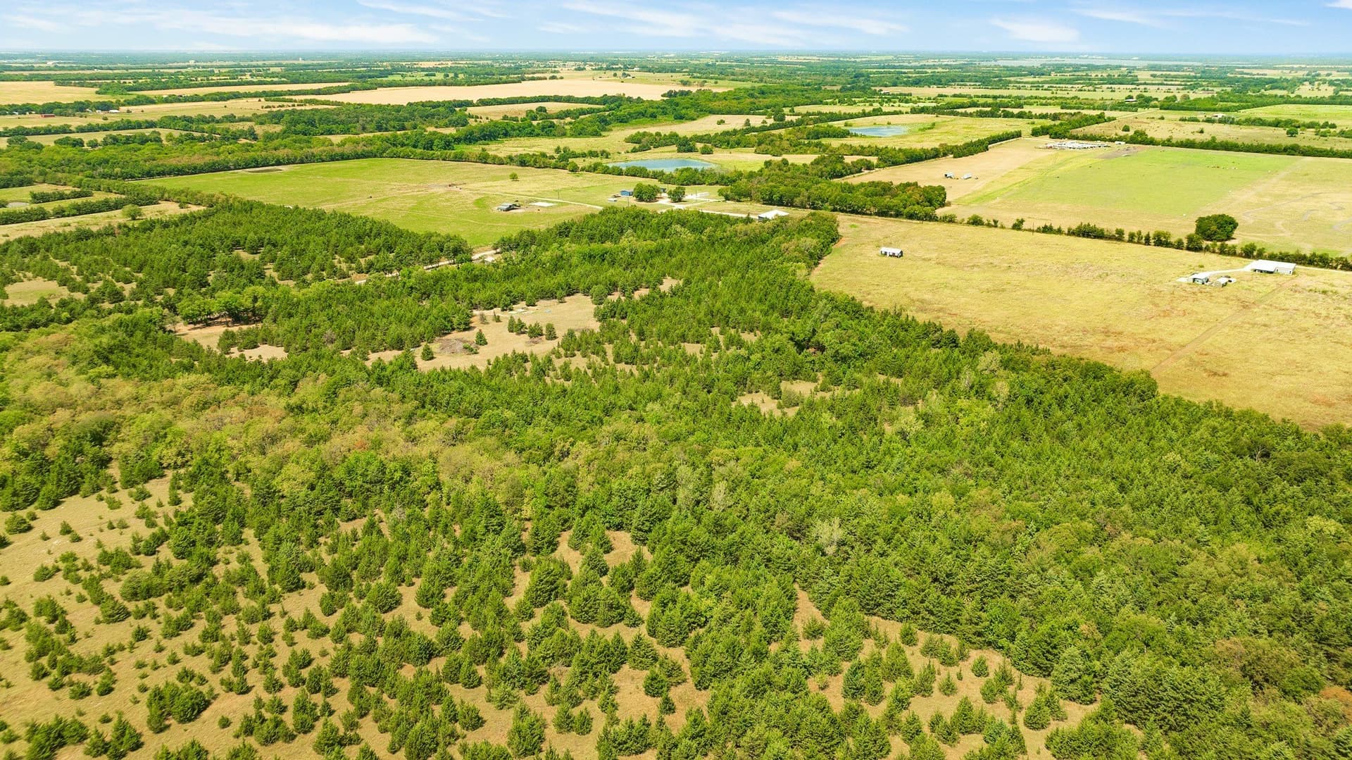 10 acres in Lamar County - photo 10
