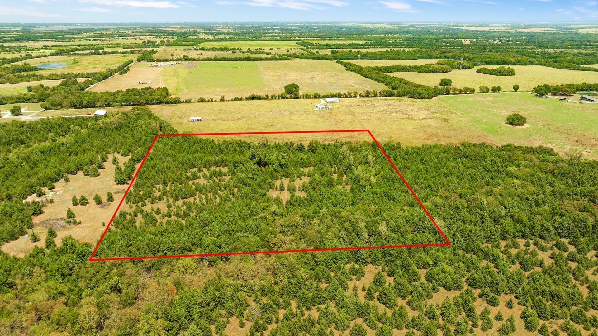 10 acres in Lamar County - photo 13
