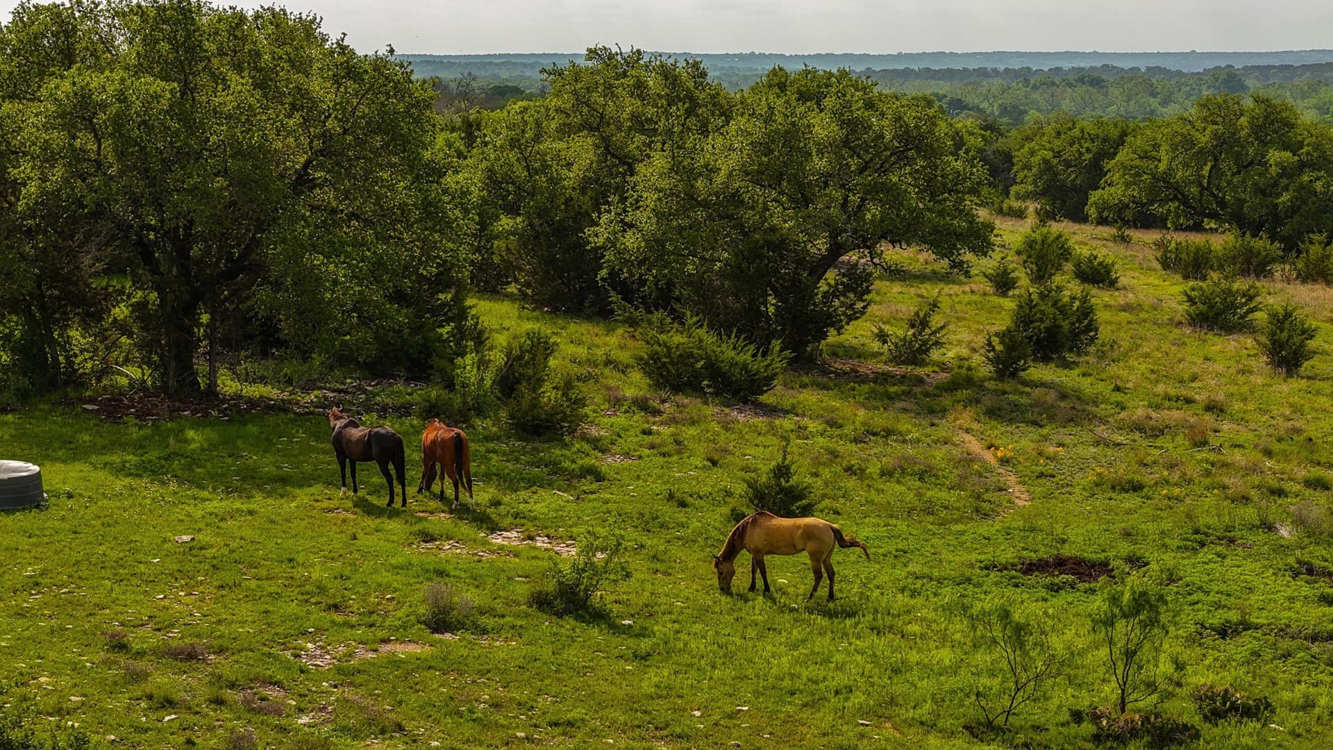 167 acres in Hamilton County - photo 7