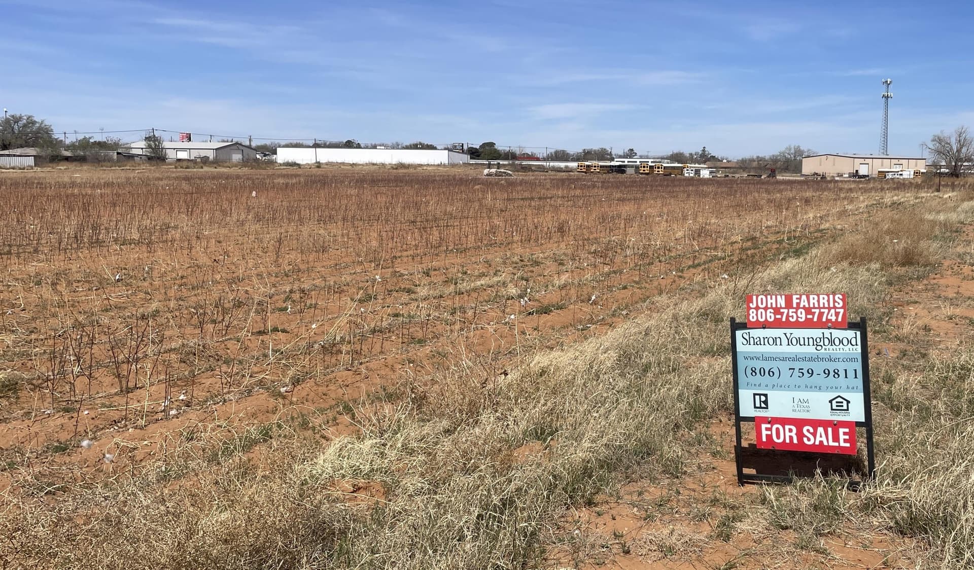 5.36 acres in Dawson County gallery image 3