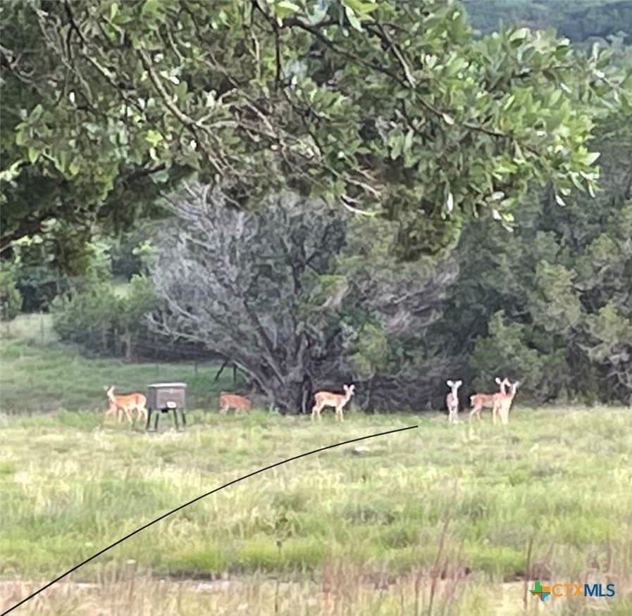 15.72 acres in Bell County - photo 46