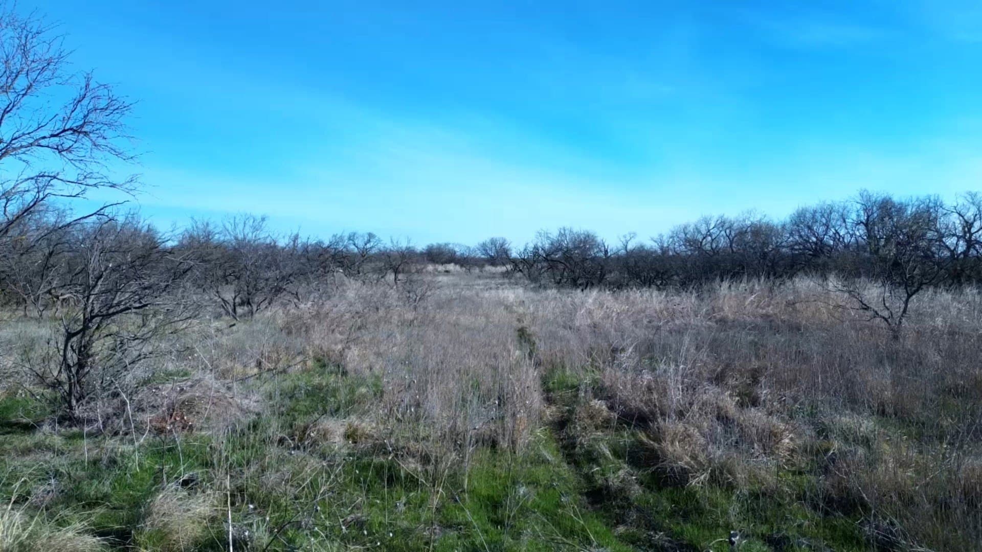 160 acres in Archer County - photo 10