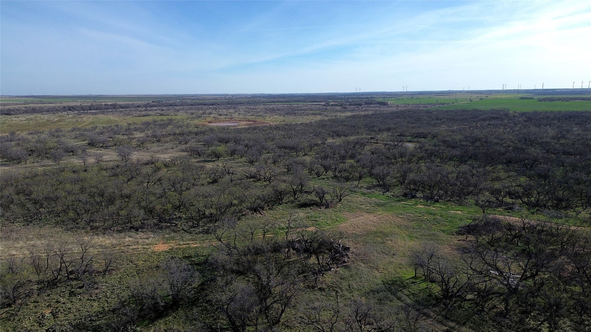 160 acres in Archer County - photo 18