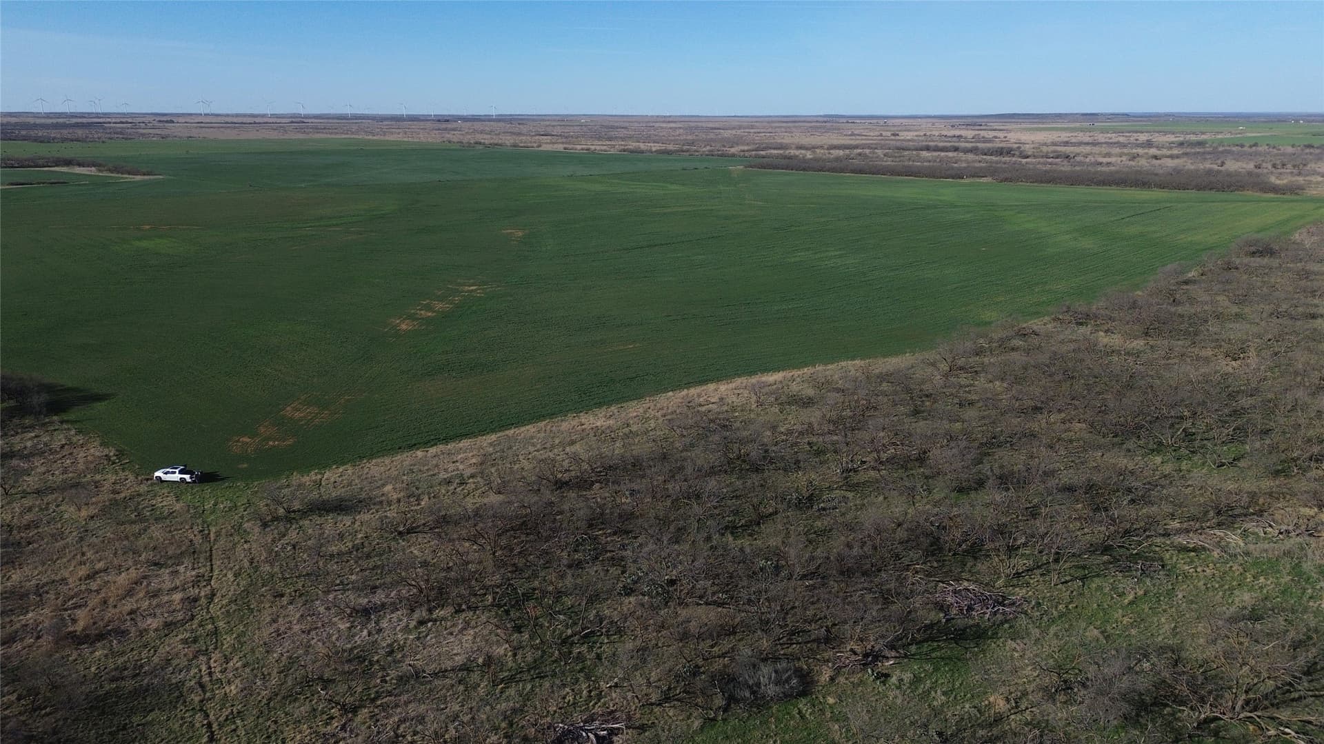 160 acres in Archer County - photo 13