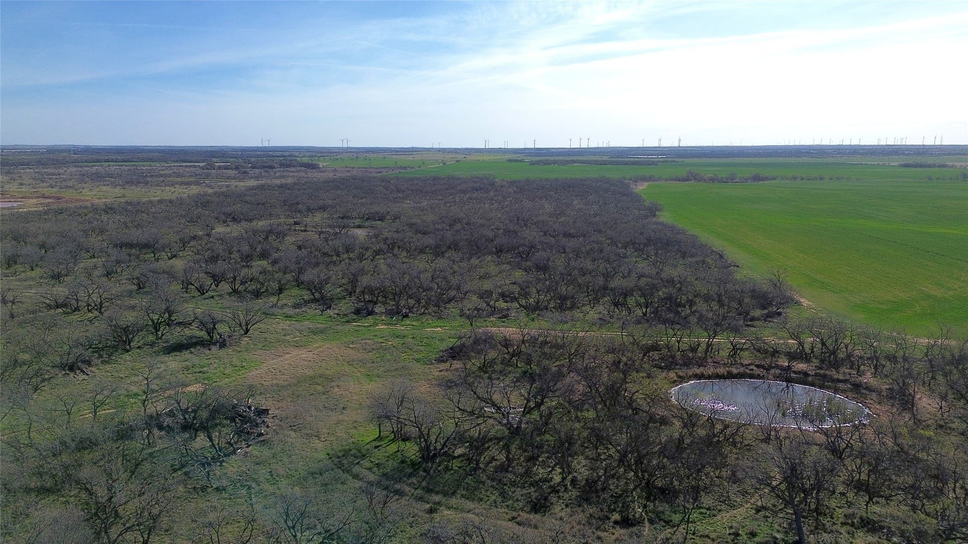 160 acres in Archer County - photo 9