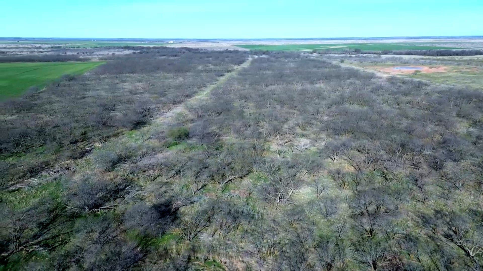 160 acres in Archer County - photo 6