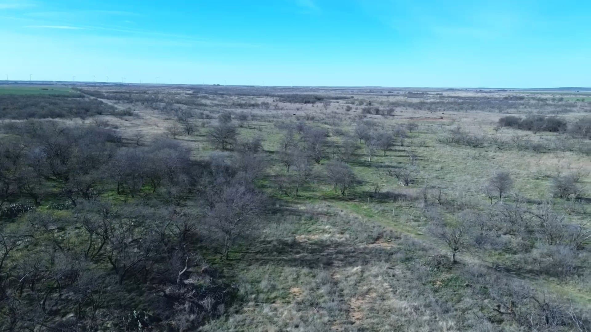 160 acres in Archer County - photo 21