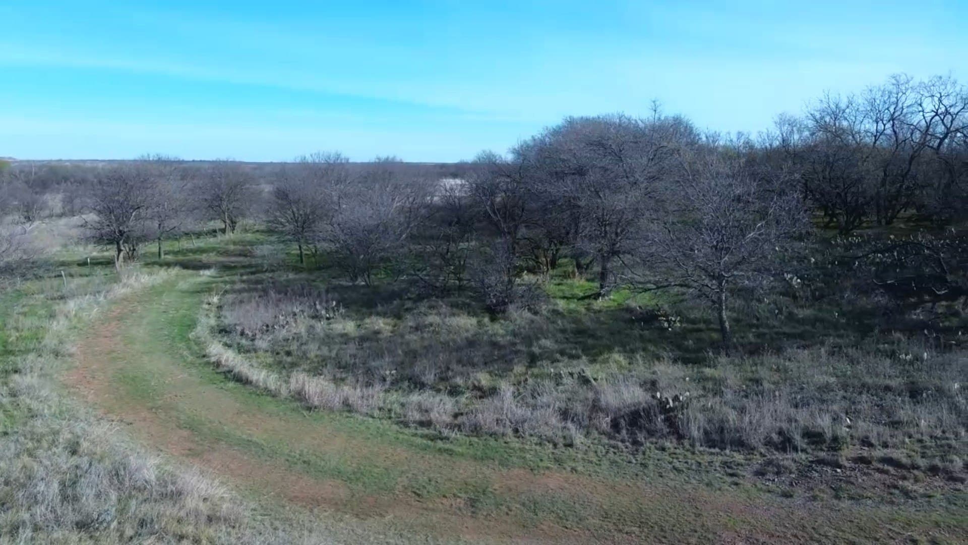 160 acres in Archer County - photo 4