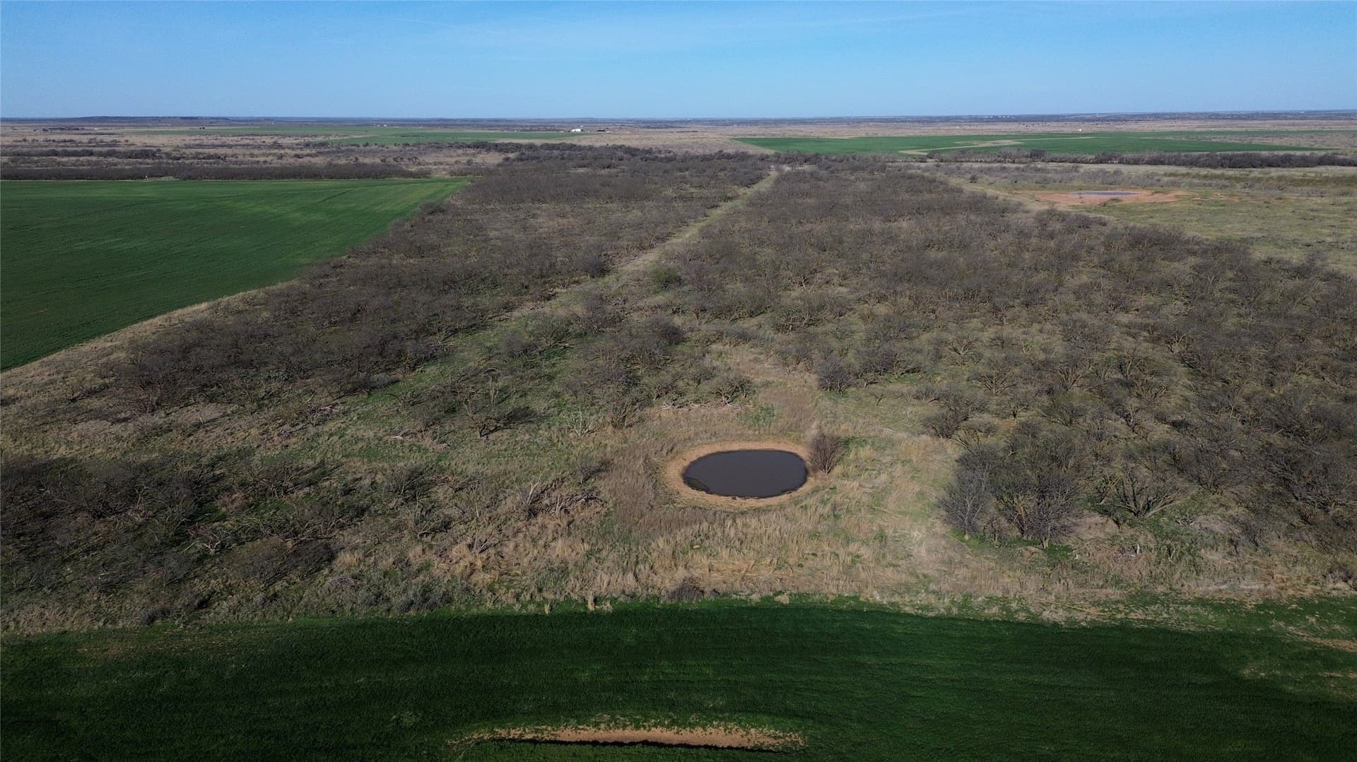 160 acres in Archer County - photo 8