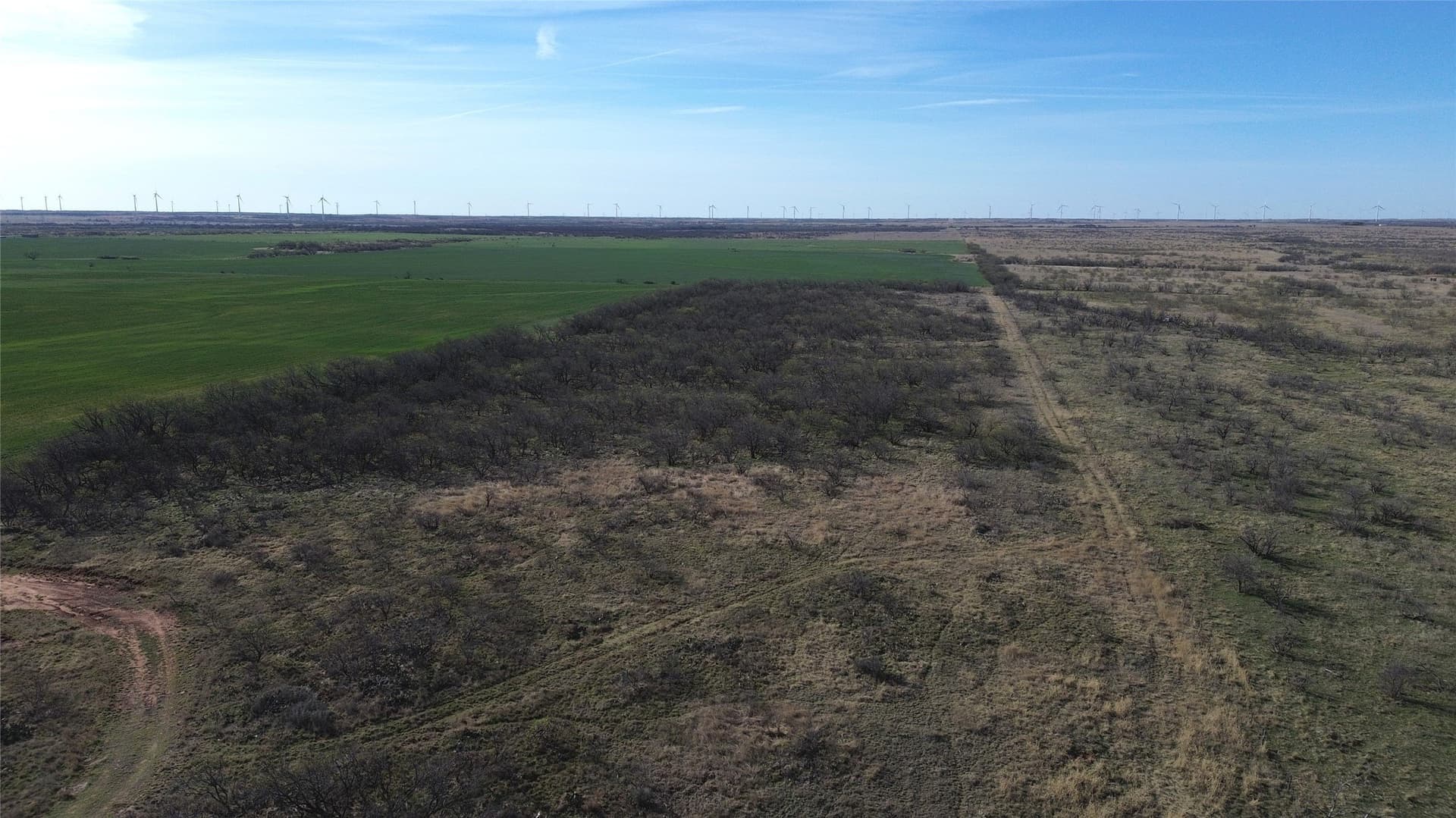 160 acres in Archer County - photo 23