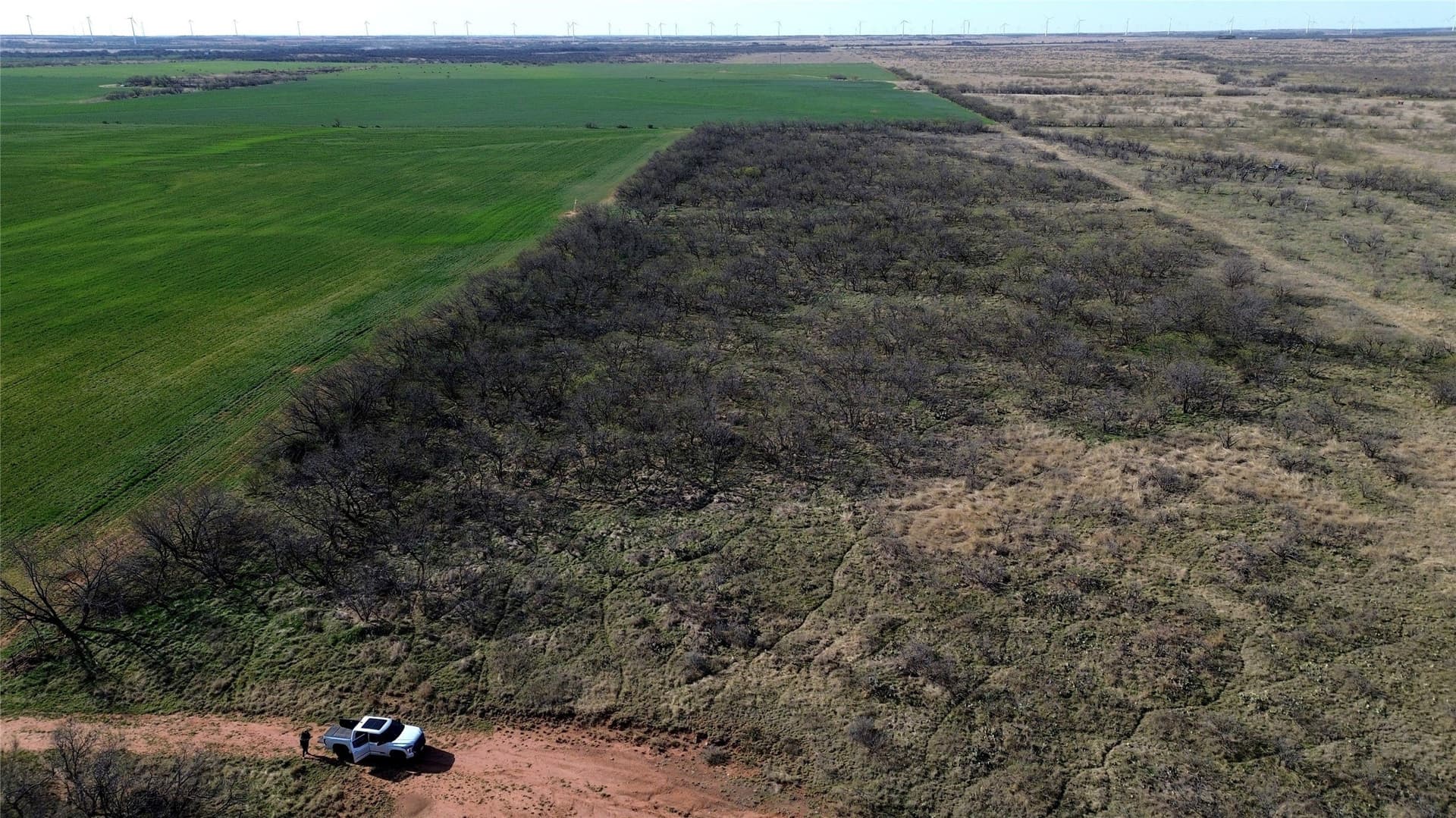 160 acres in Archer County - photo 17