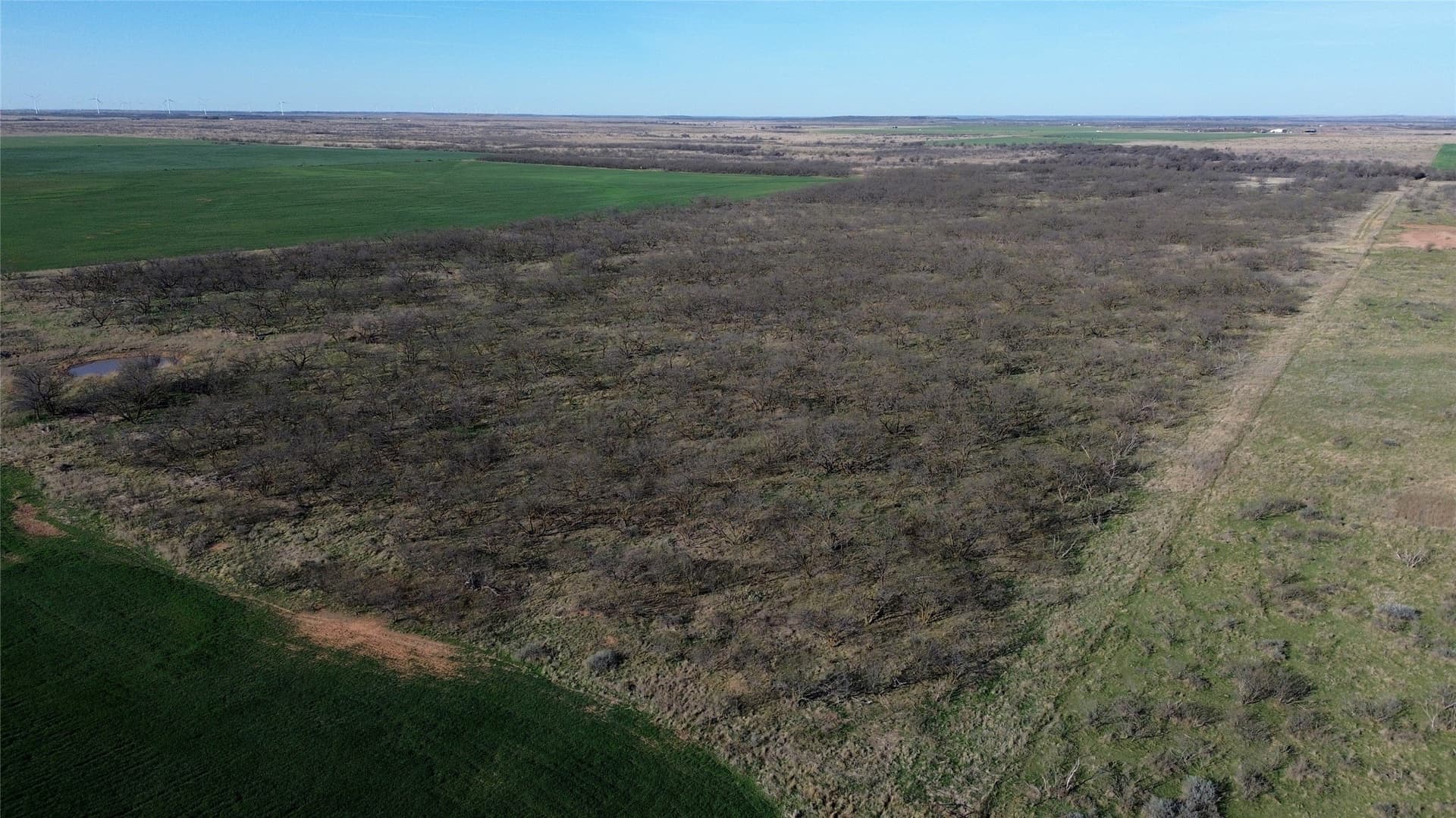 160 acres in Archer County - photo 20