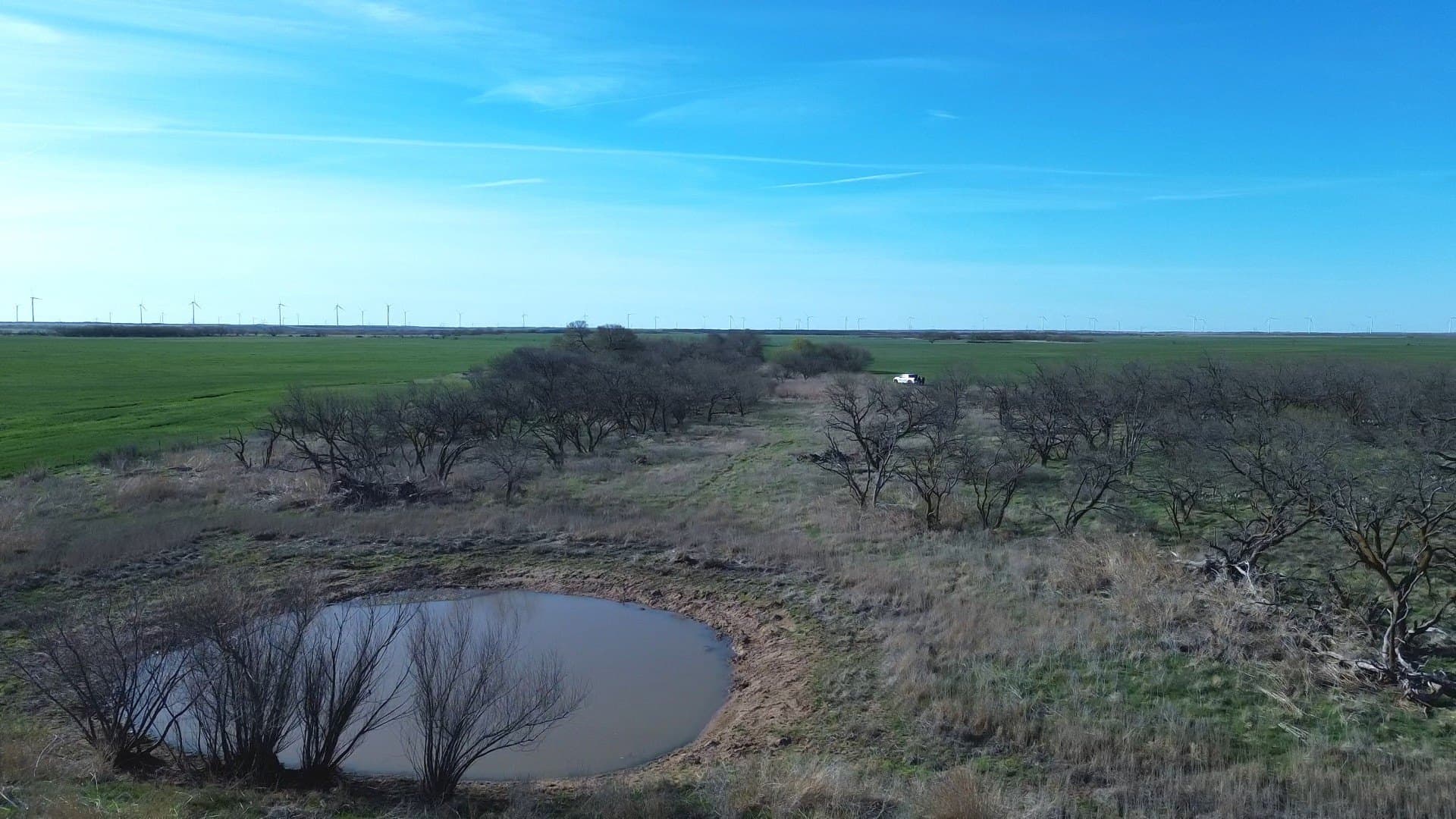 160 acres in Archer County - photo 15