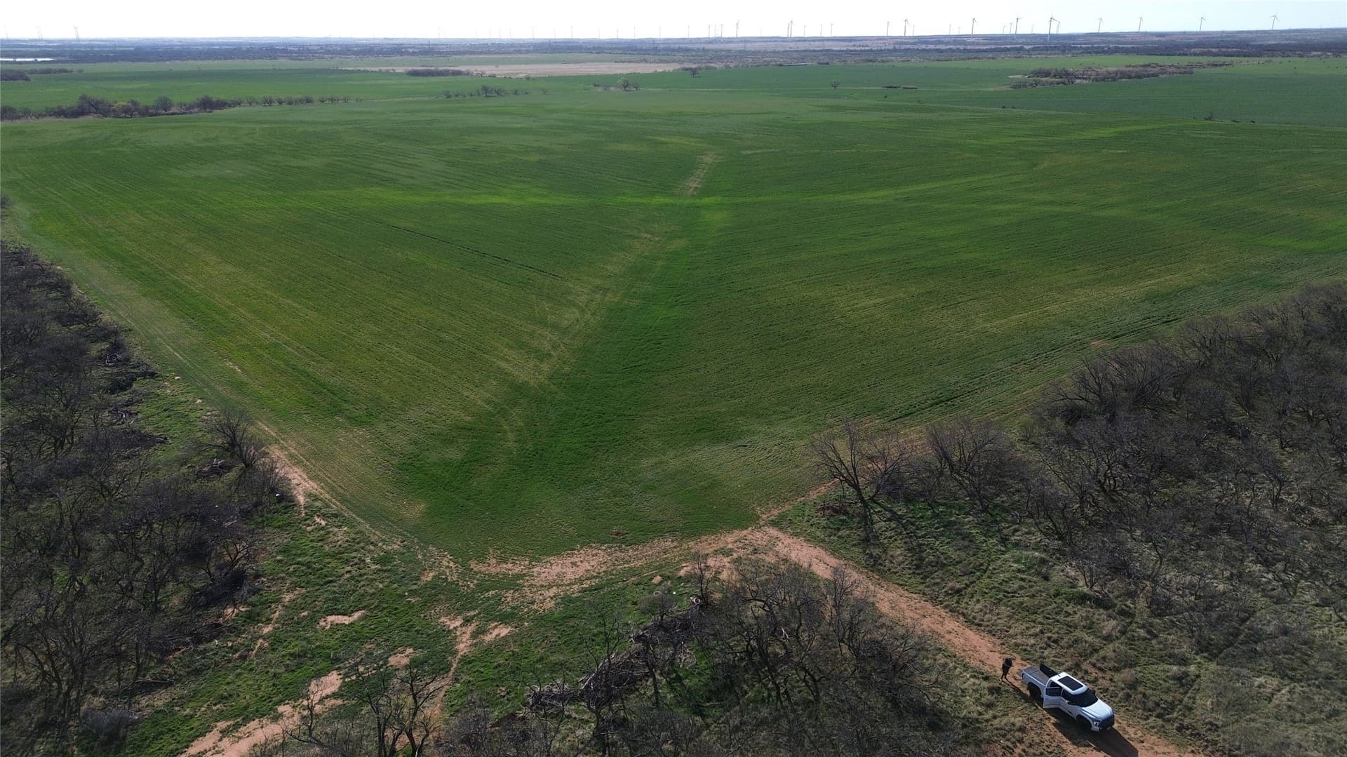 160 acres in Archer County - photo 22