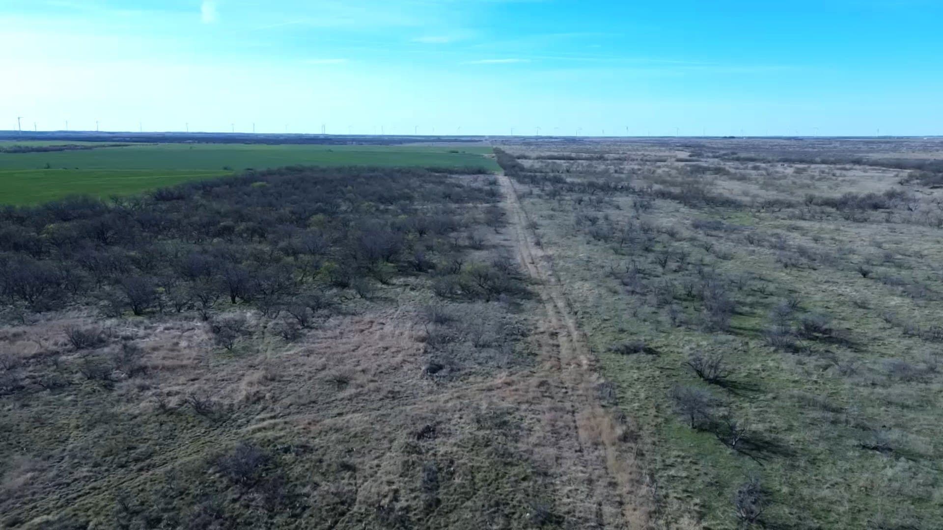 160 acres in Archer County - photo 11