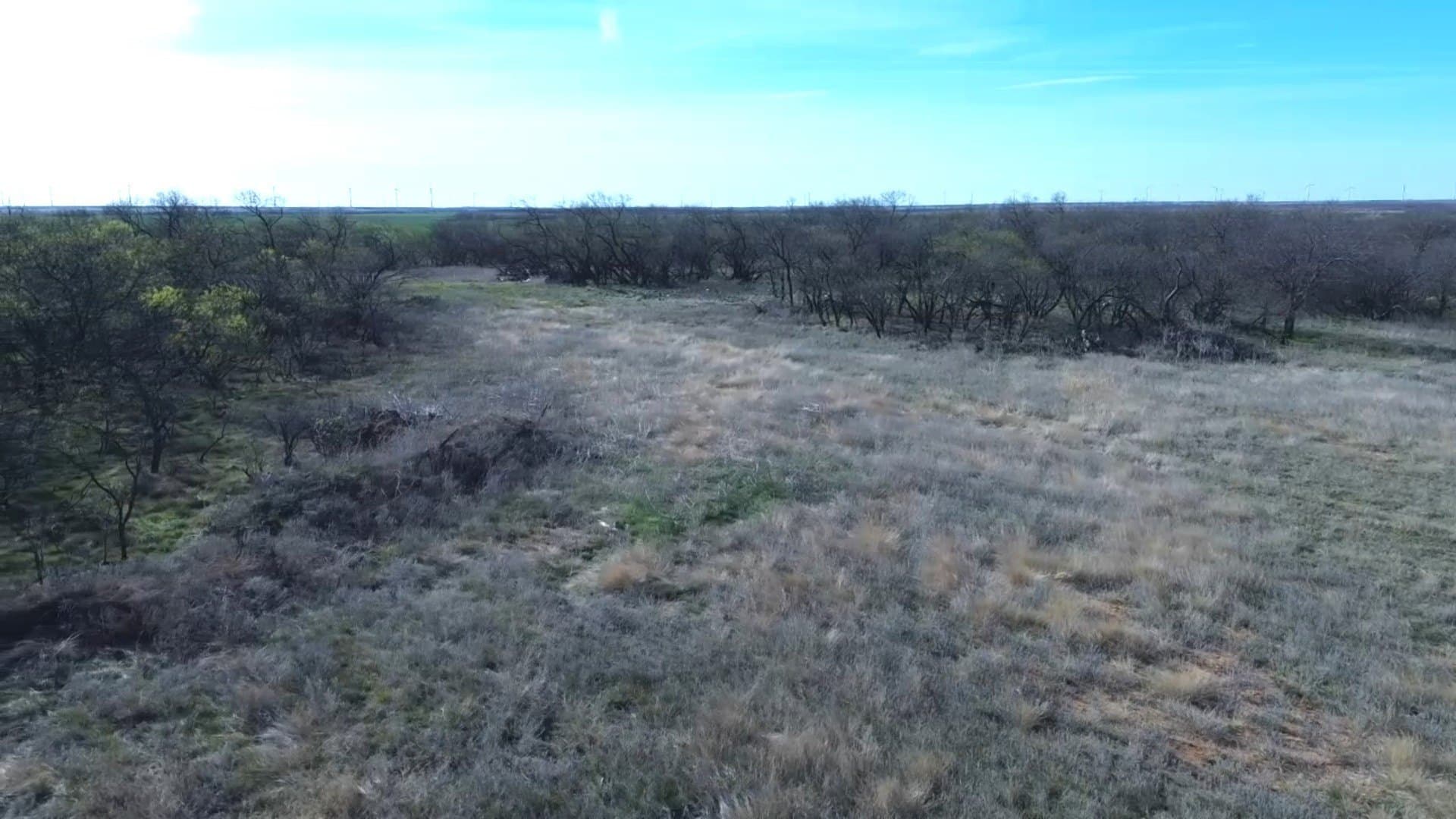 160 acres in Archer County - photo 19