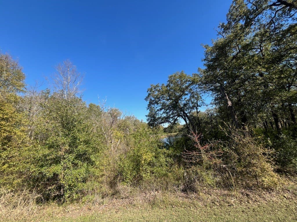0.82 acres in Freestone County - photo 2