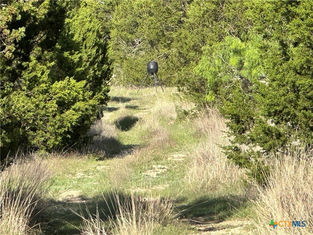 89.32 acres in Hamilton County - photo 31