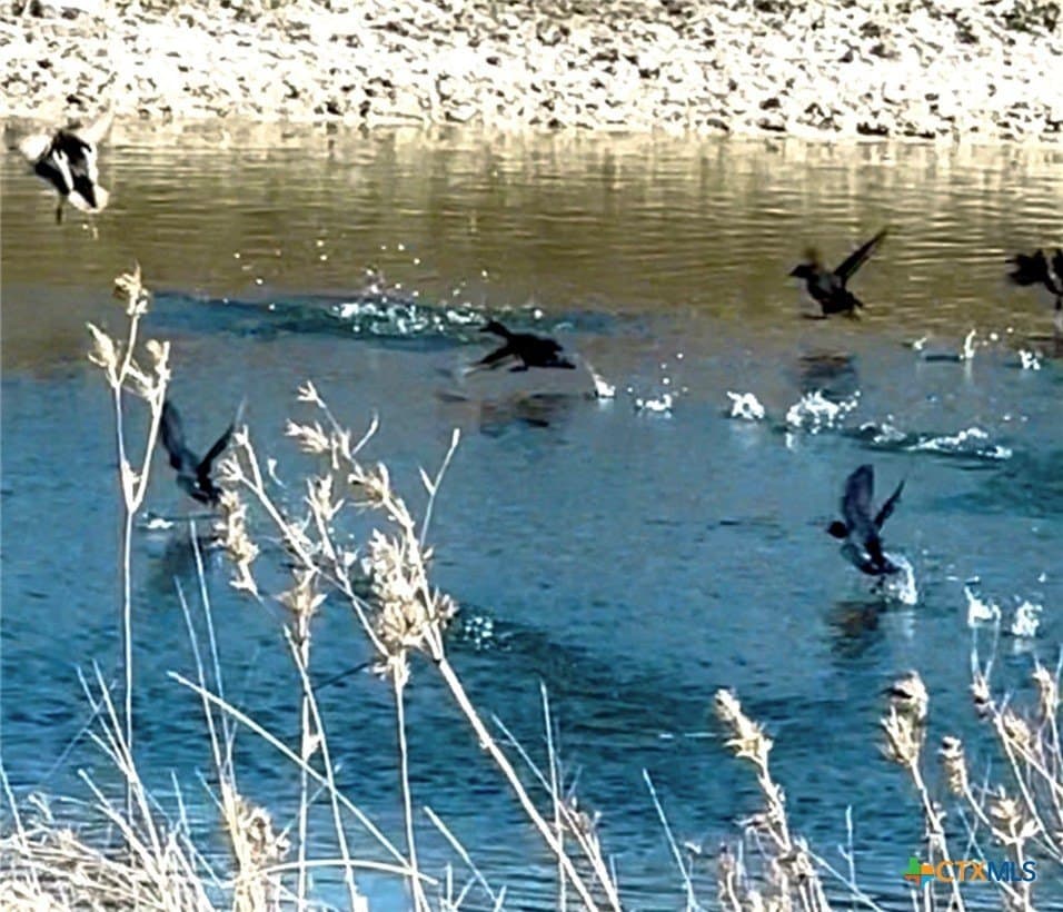 89.32 acres in Hamilton County - photo 19