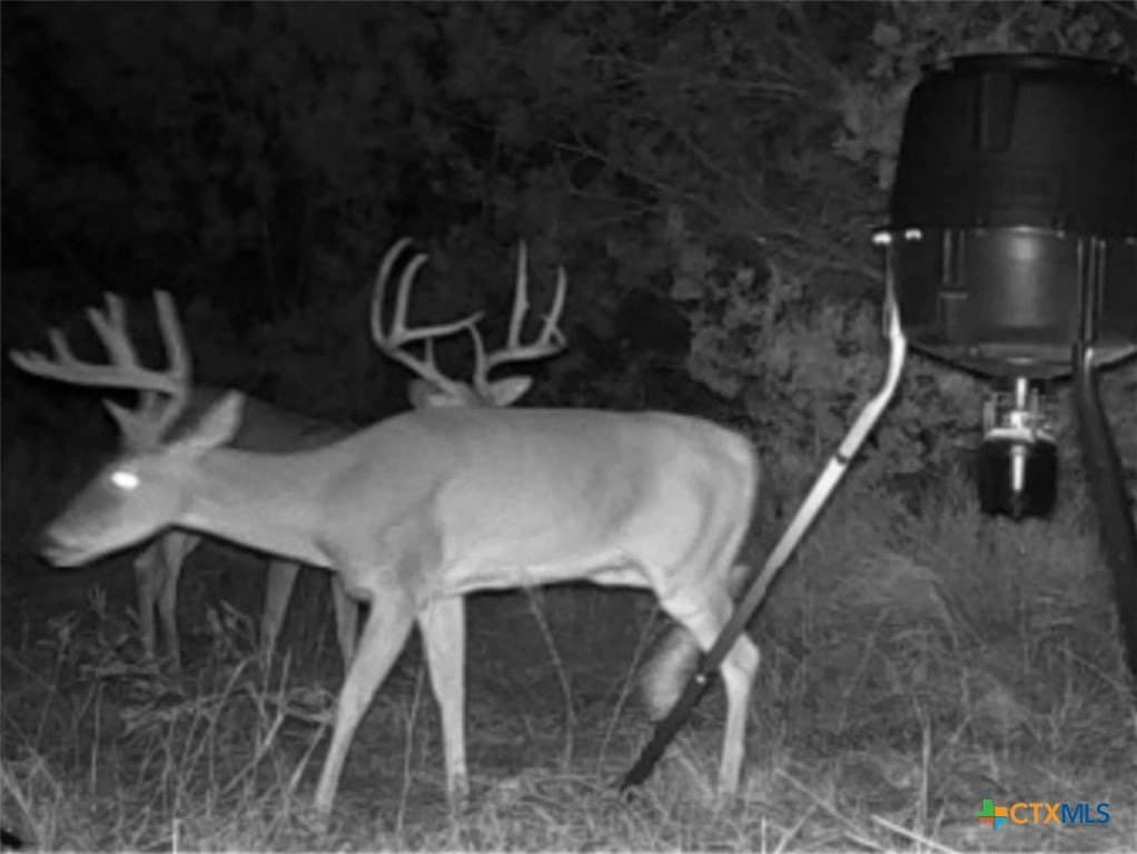 89.32 acres in Hamilton County - photo 21