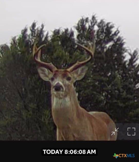 89.32 acres in Hamilton County gallery image 4