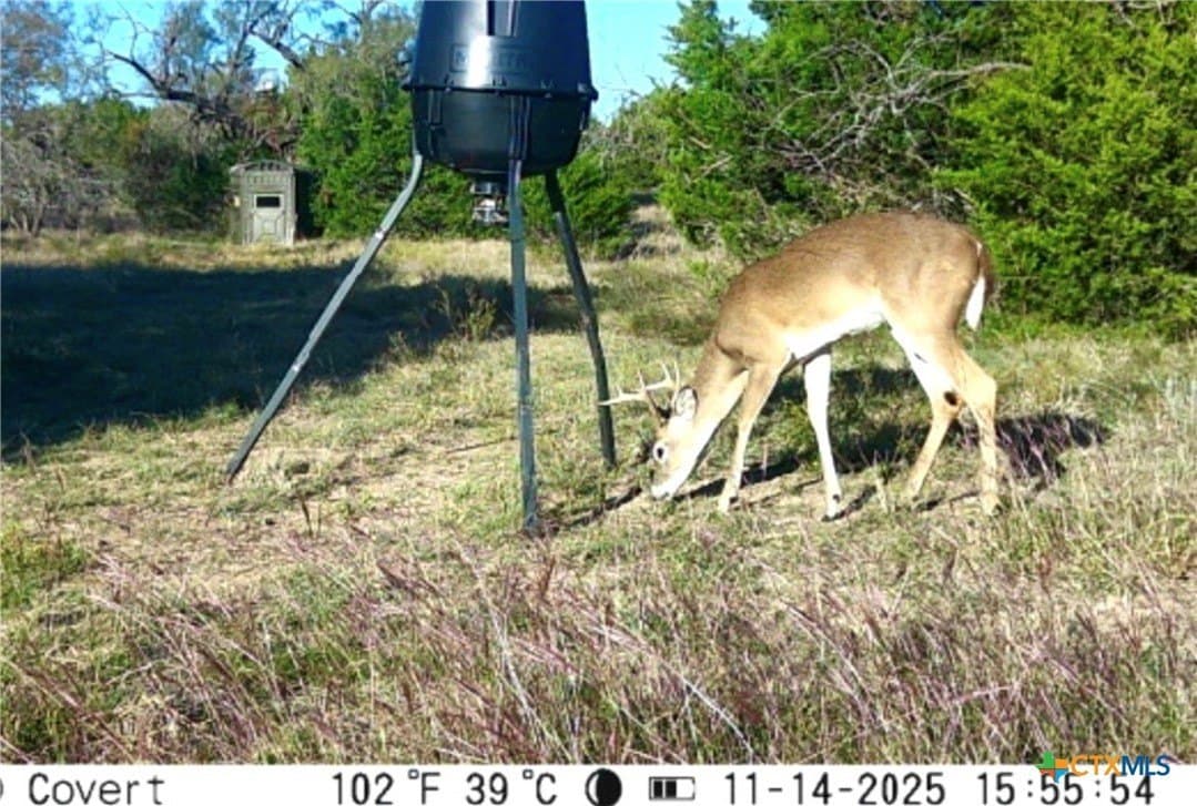 89.32 acres in Hamilton County - photo 42