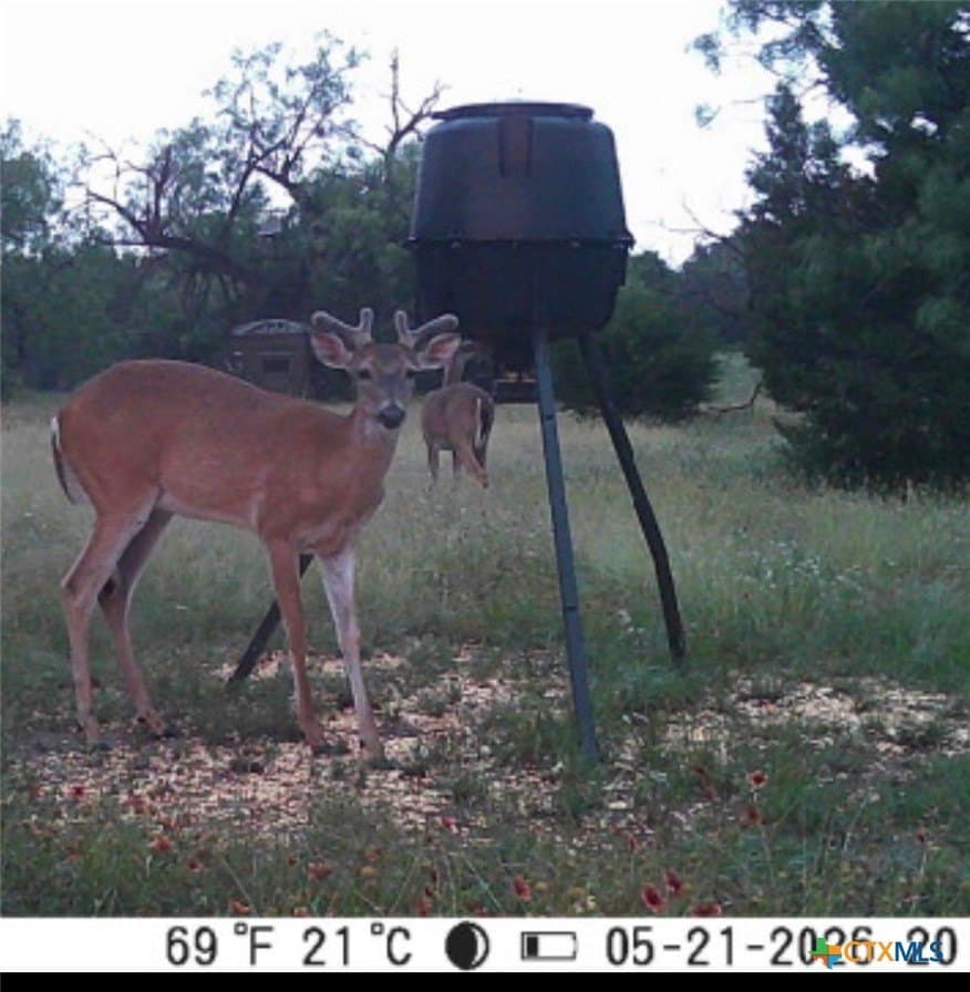 89.32 acres in Hamilton County - photo 16