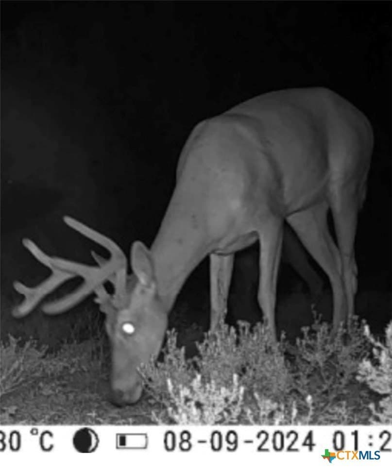 89.32 acres in Hamilton County - photo 39