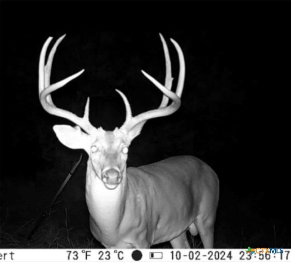 89.32 acres in Hamilton County - photo 20