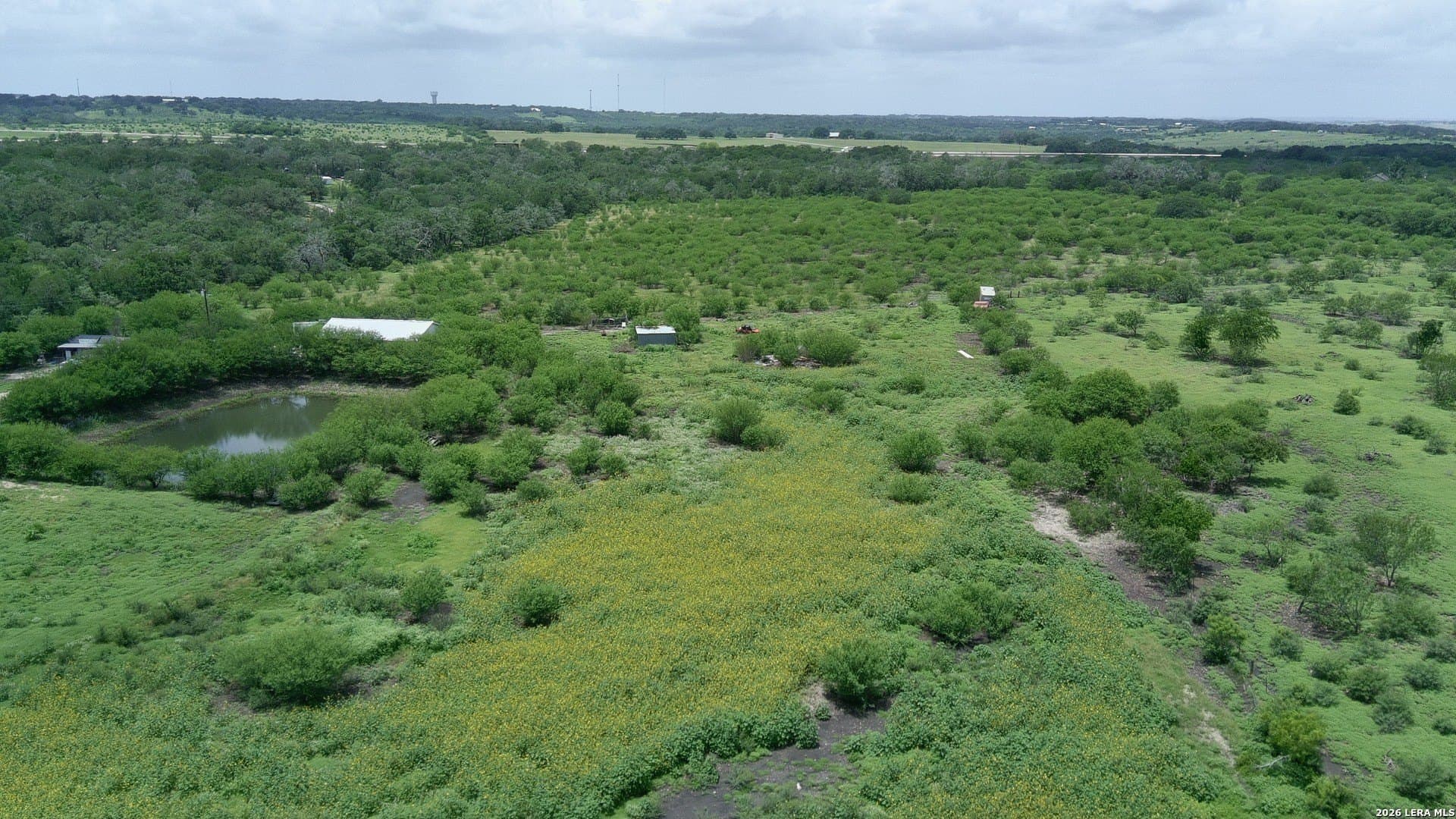 15 acres in Guadalupe County gallery image 2