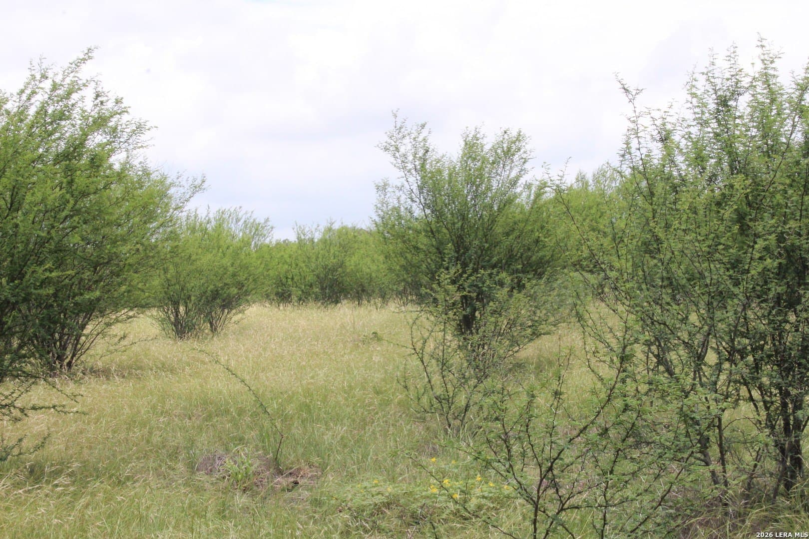 15 acres in Guadalupe County - photo 11