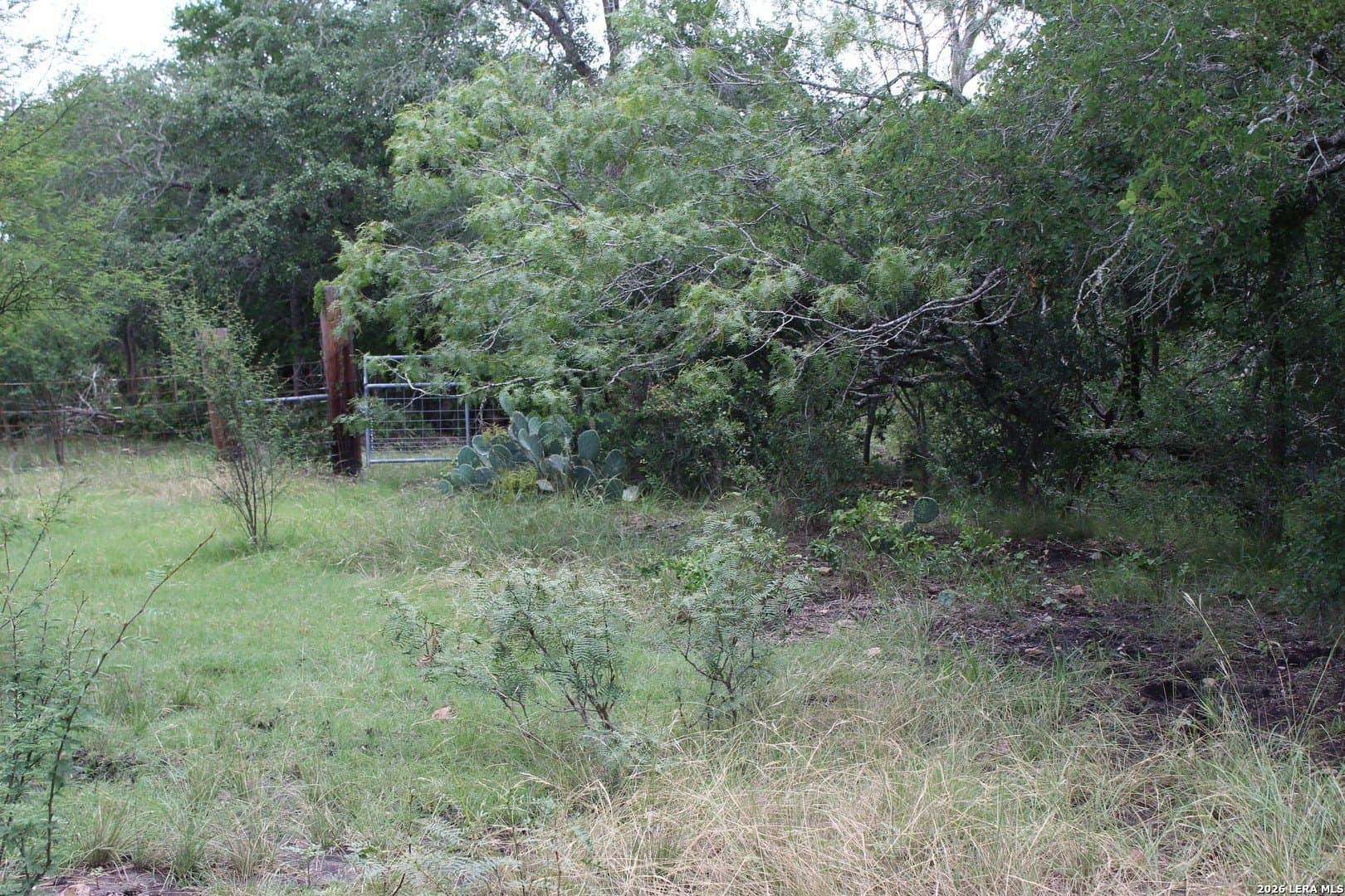 15 acres in Guadalupe County featured view