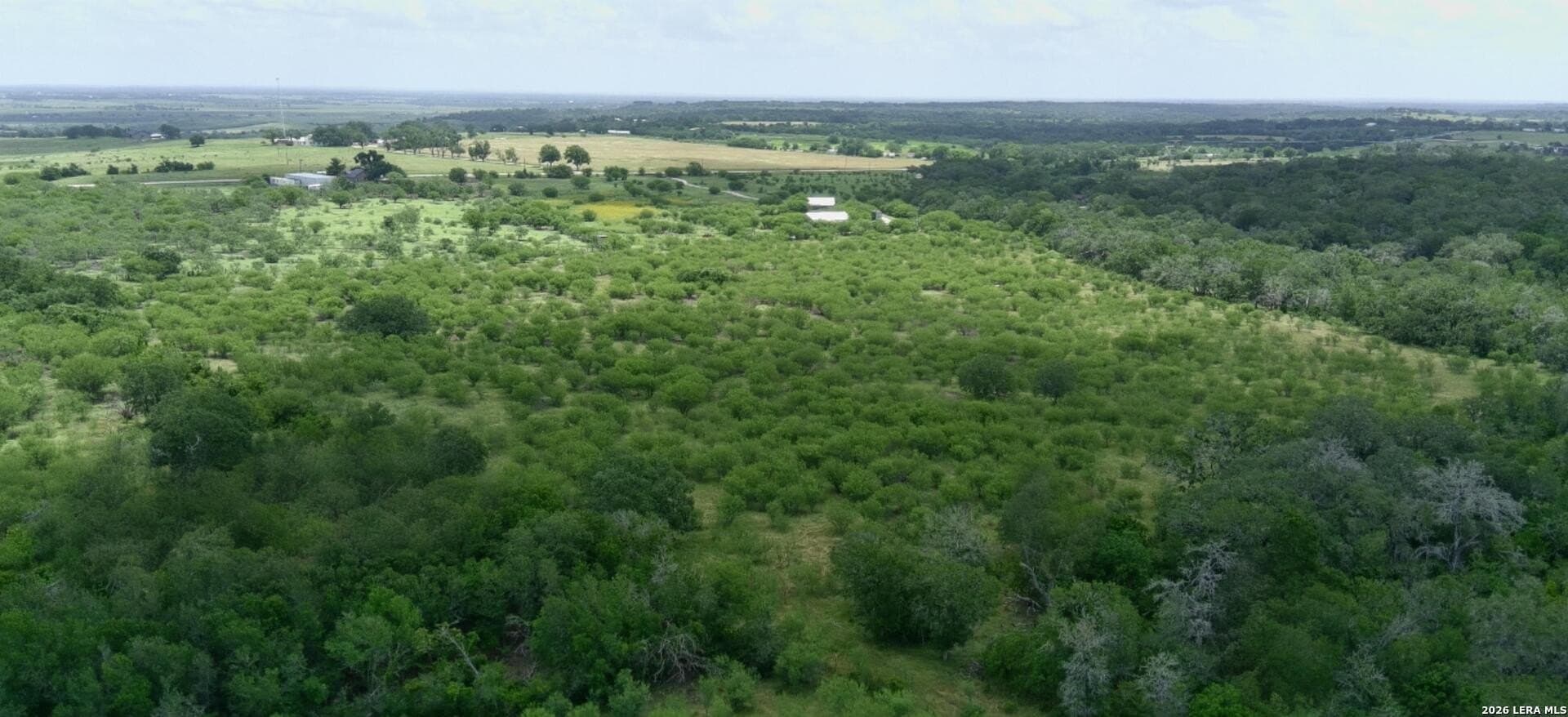 15 acres in Guadalupe County - photo 10