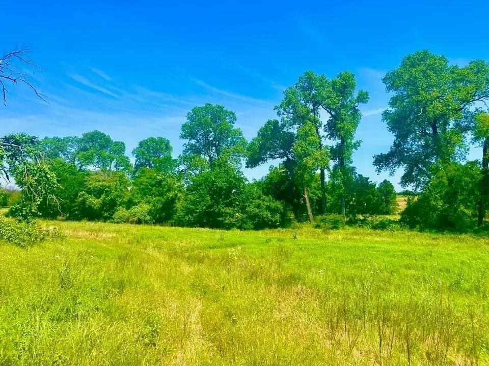 2.42 acres in Parker County gallery image 2