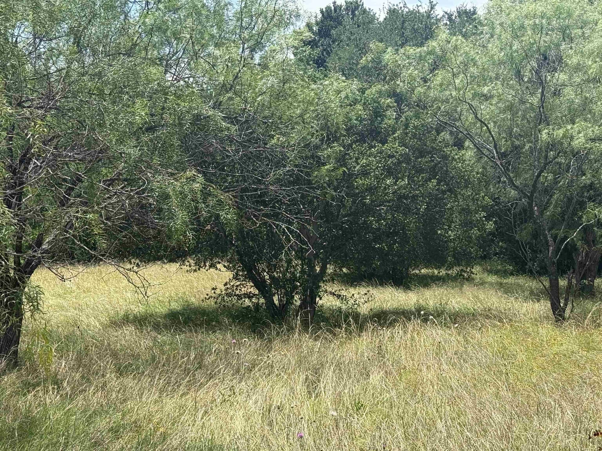 0.14 acres in Llano County gallery image 3