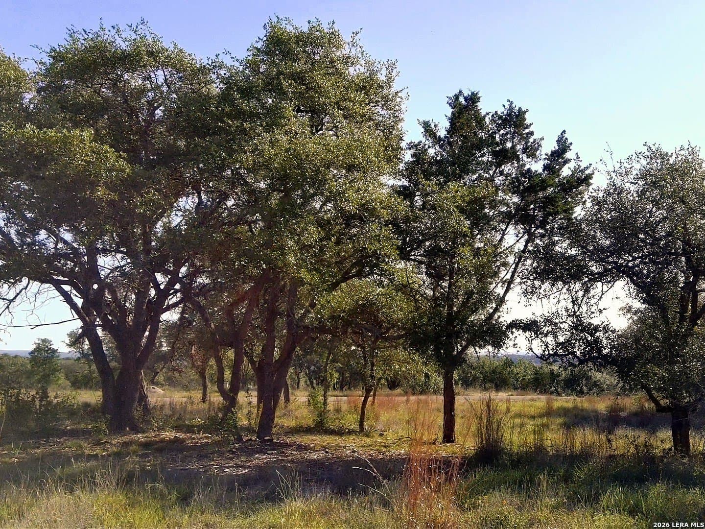 5.01 acres in Comal County - photo 14