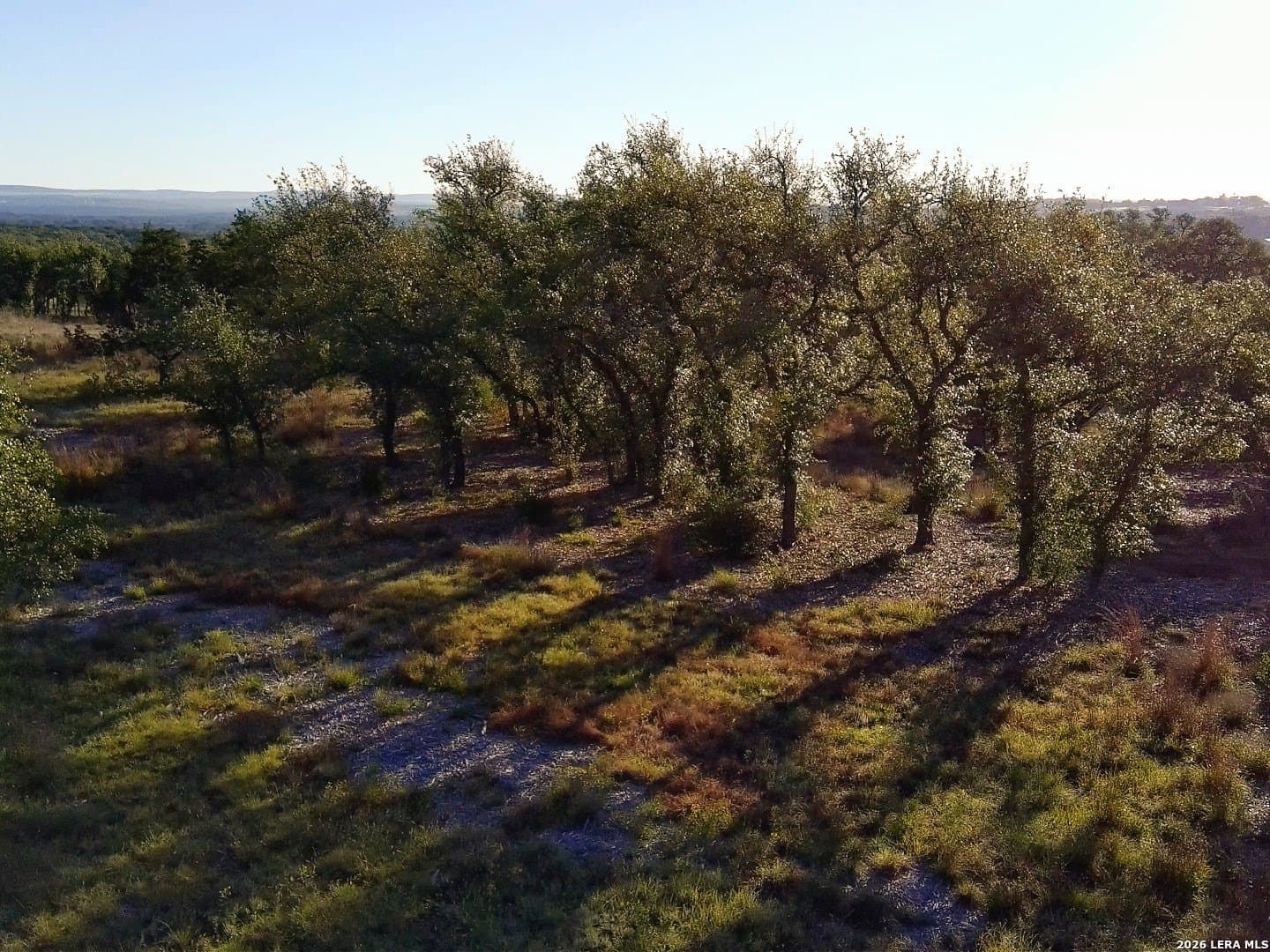 5.01 acres in Comal County - photo 17