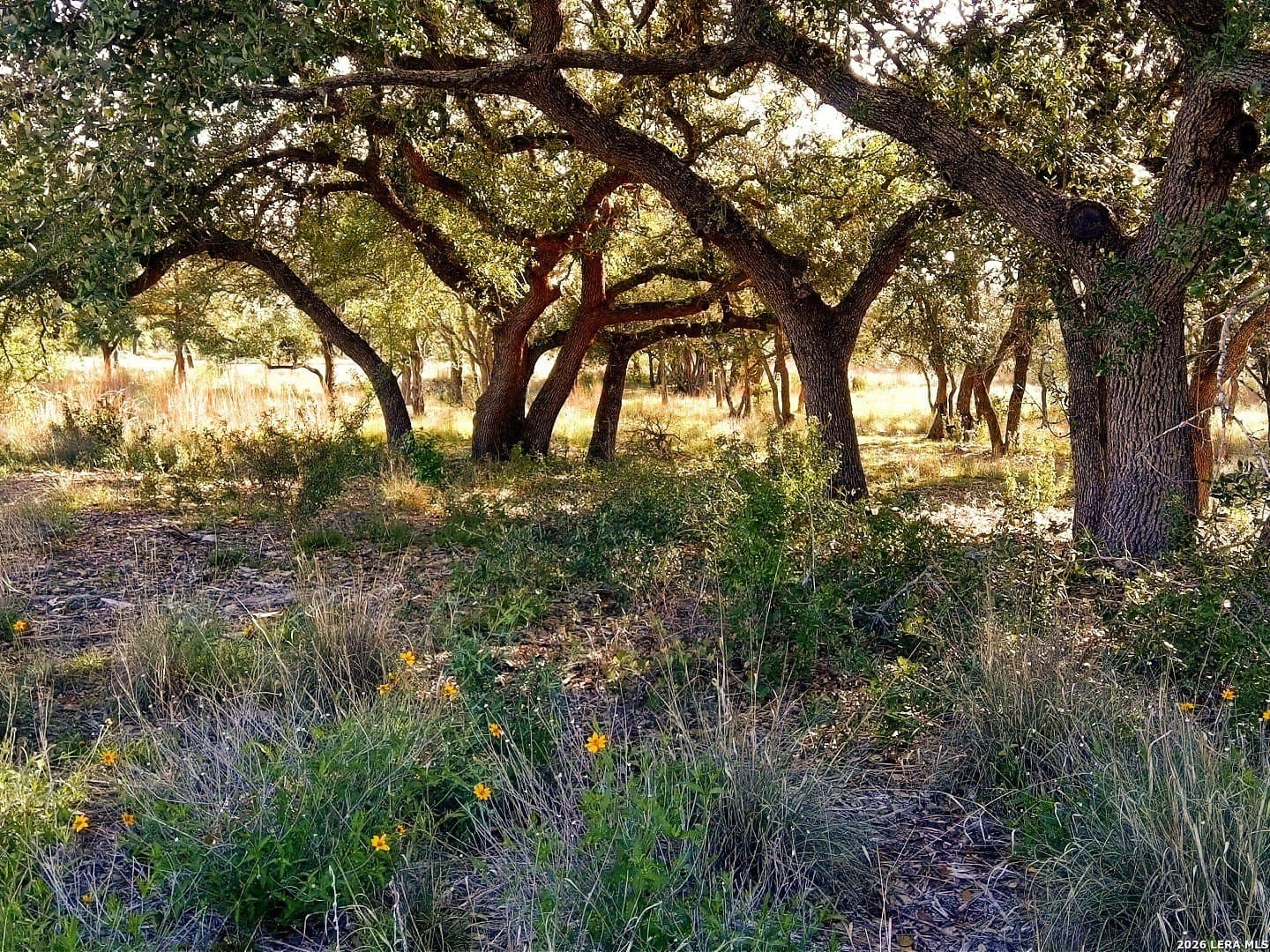 5.01 acres in Comal County - photo 2