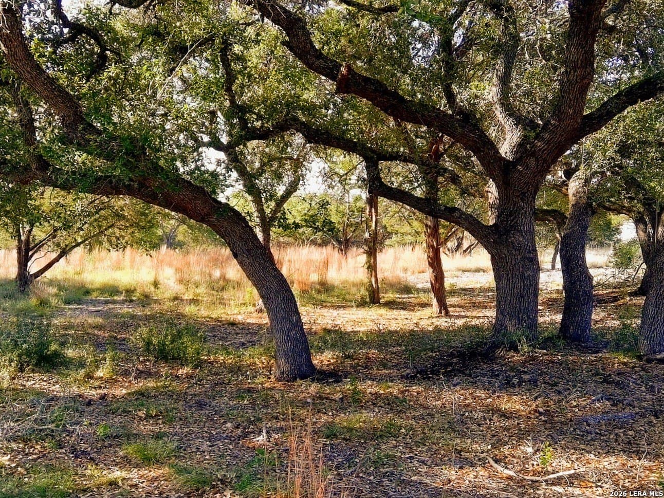 5.01 acres in Comal County - photo 9