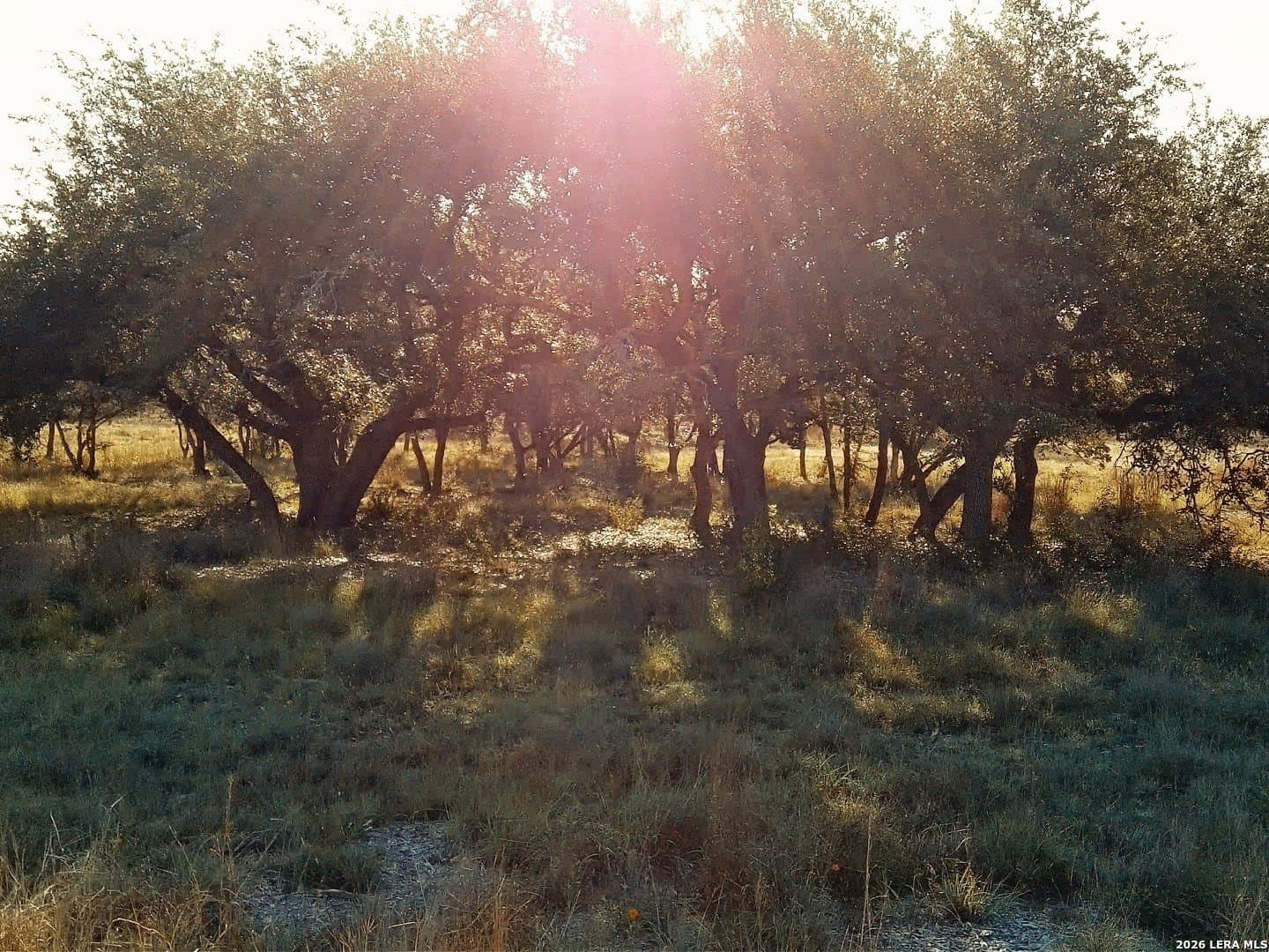 5.01 acres in Comal County - photo 10