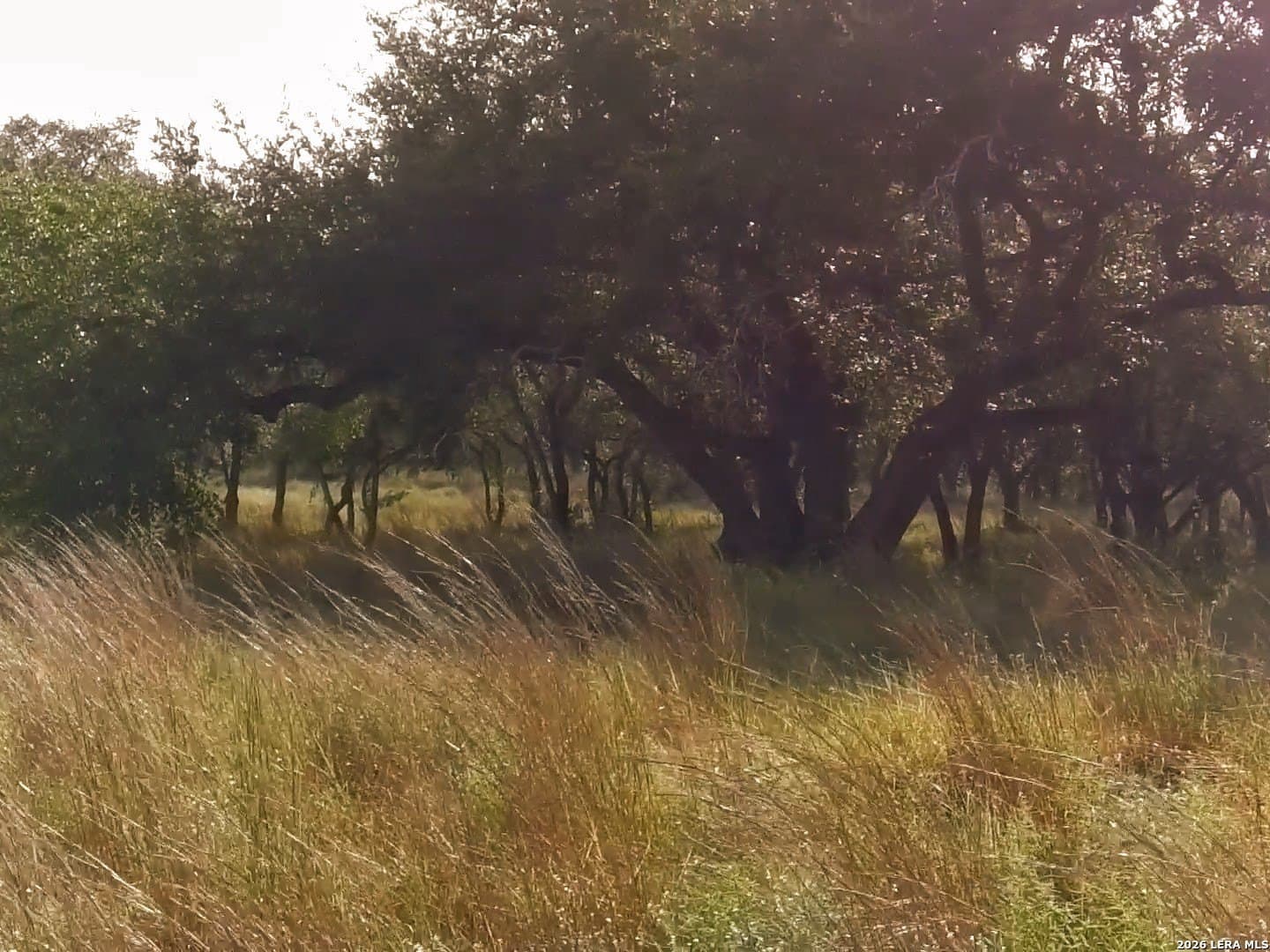 5.01 acres in Comal County - photo 4
