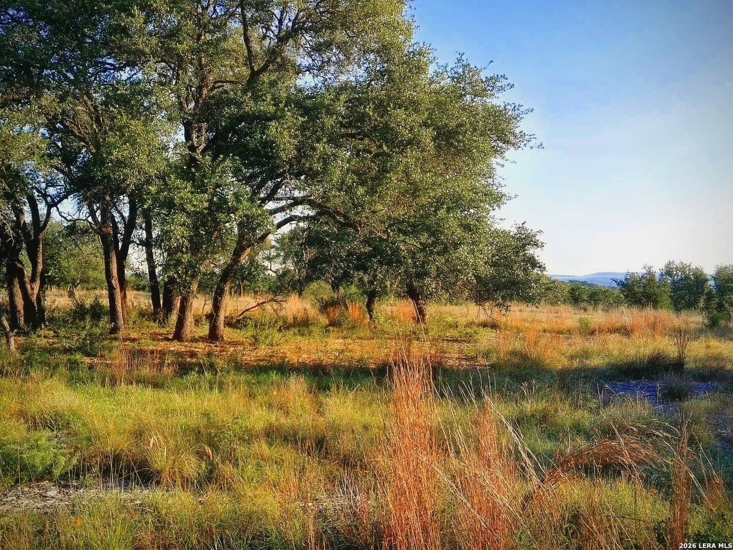 5.01 acres in Comal County - photo 8