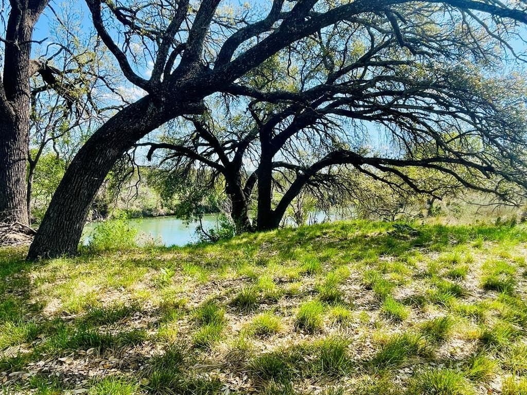 21.74 acres in Kimble County gallery image 2