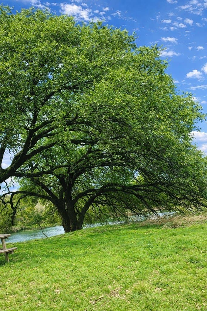 21.74 acres in Kimble County gallery image 4
